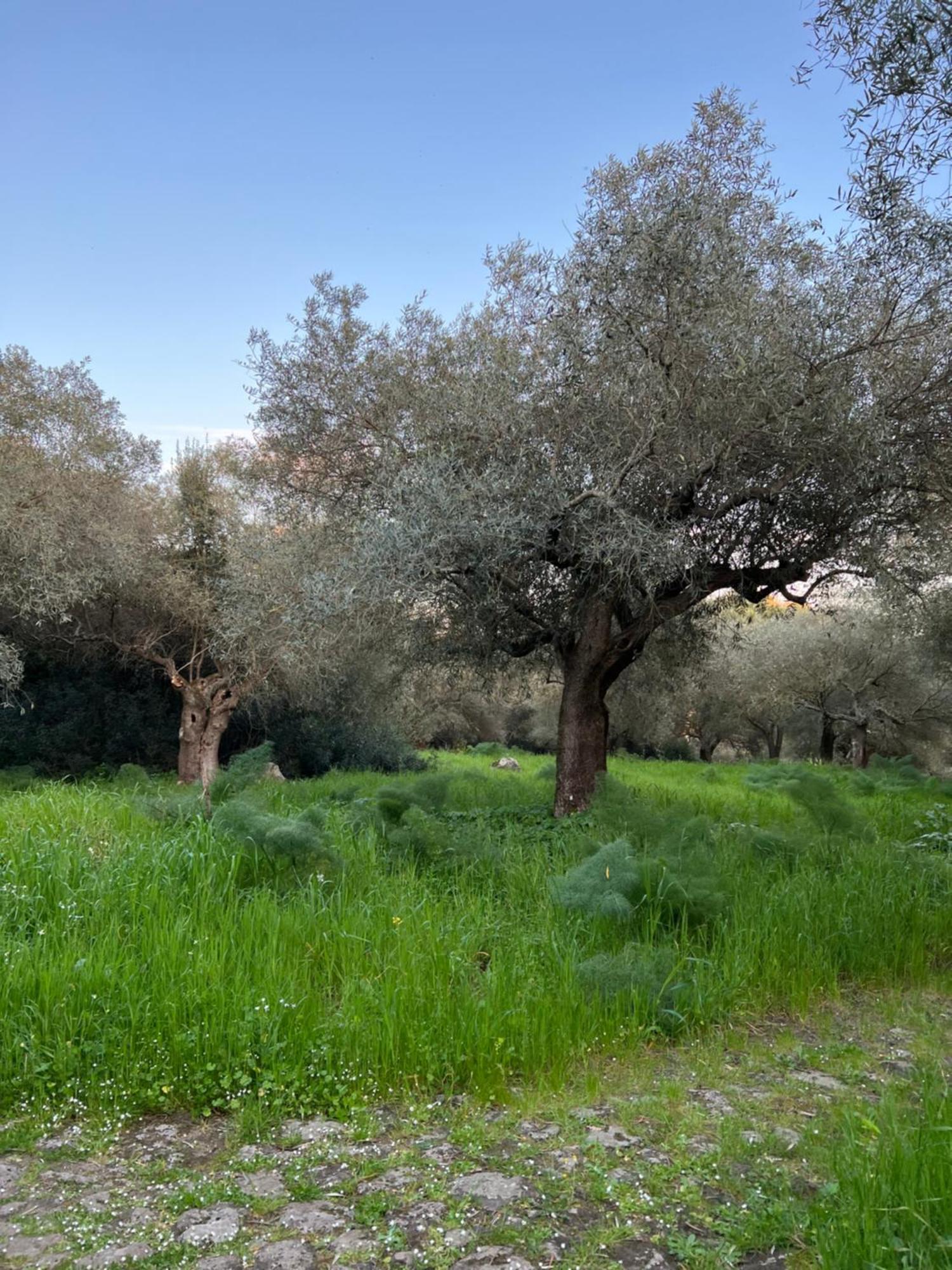 Muristene Pozzo Santa Cristina Paulilatino Esterno foto