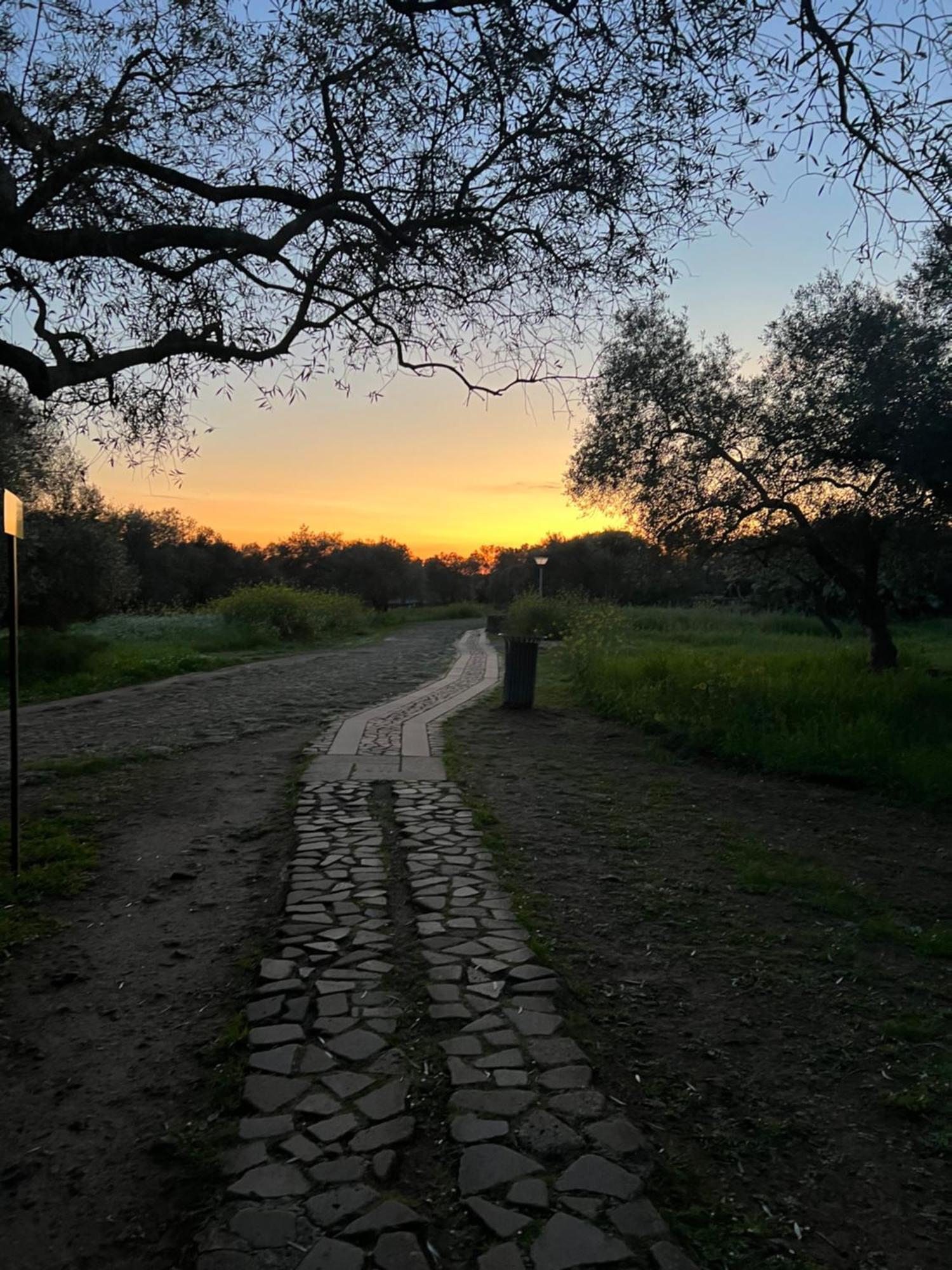 Muristene Pozzo Santa Cristina Paulilatino Esterno foto