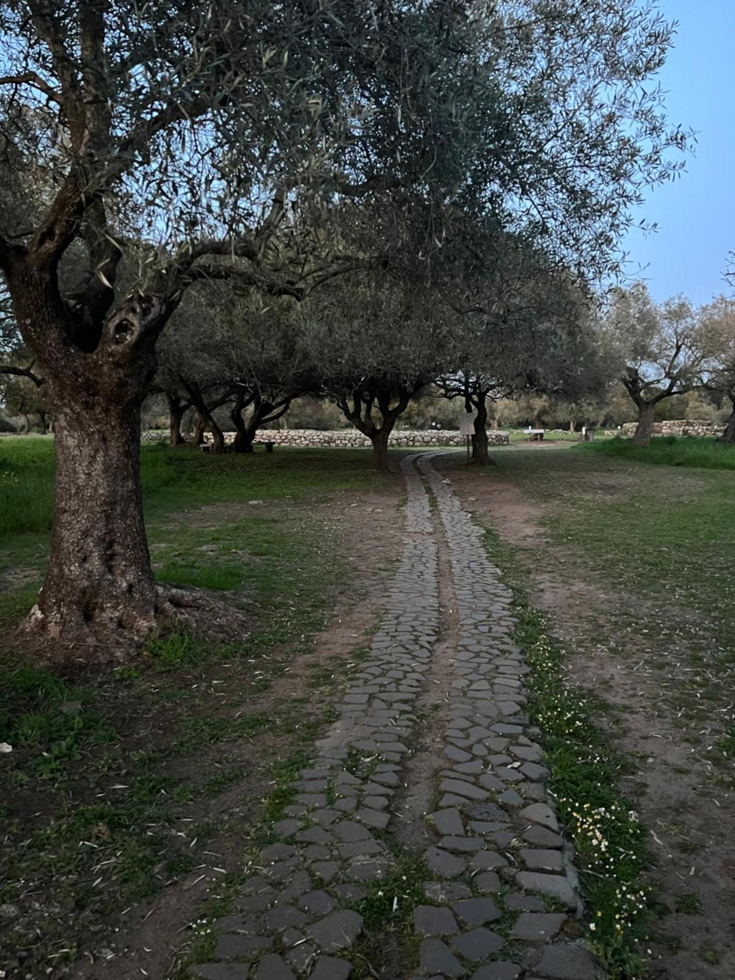 Muristene Pozzo Santa Cristina Paulilatino Esterno foto