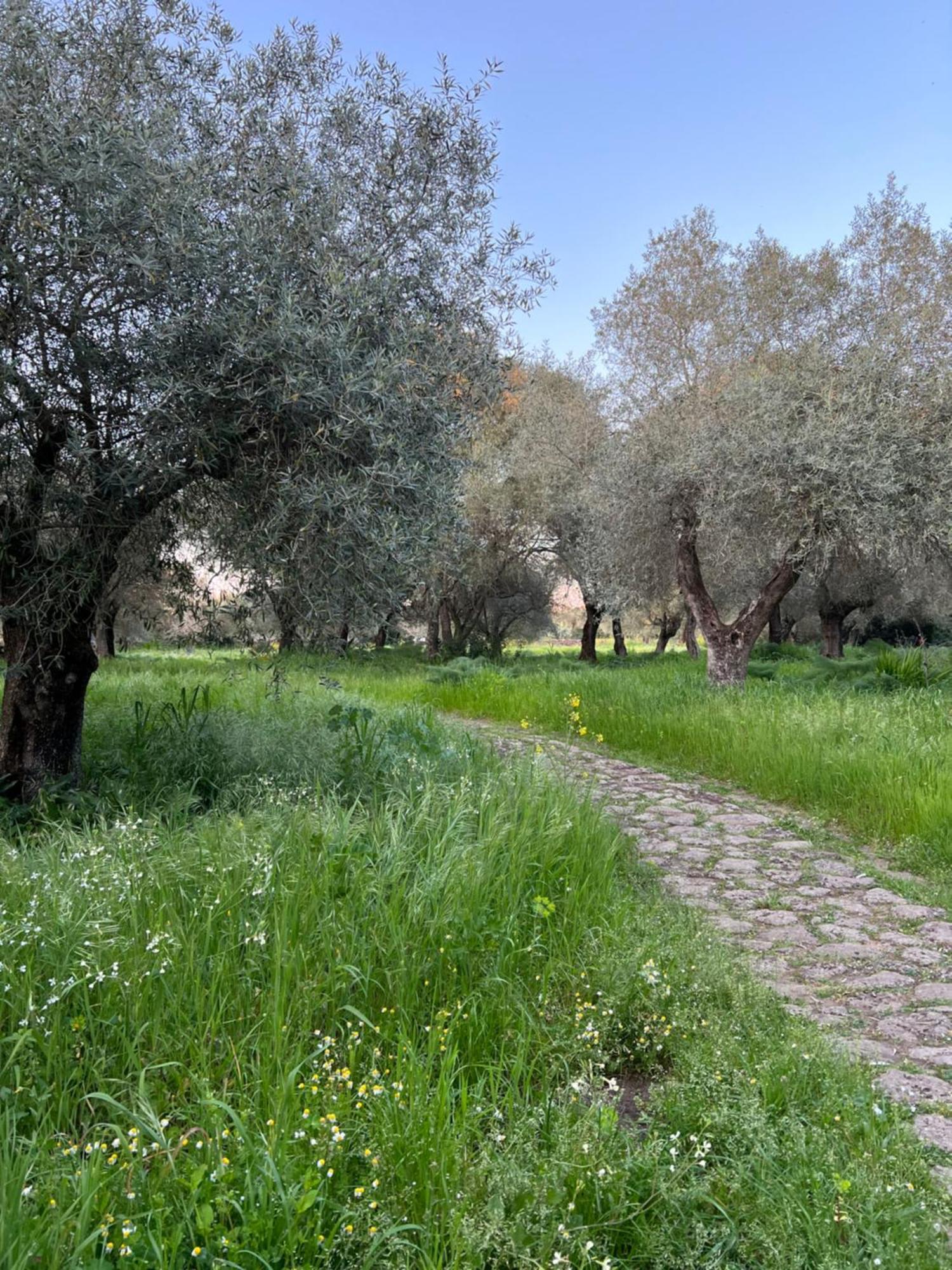 Muristene Pozzo Santa Cristina Paulilatino Esterno foto