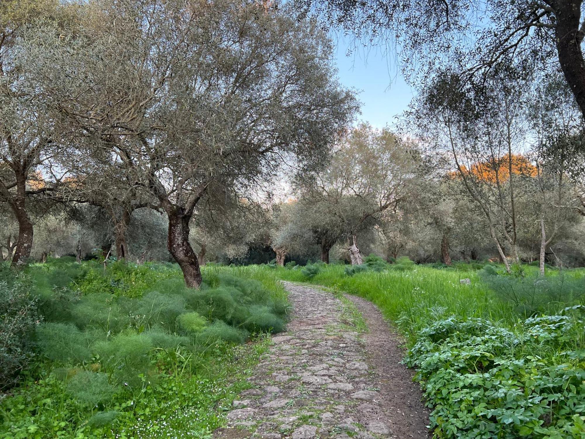 Muristene Pozzo Santa Cristina Paulilatino Esterno foto