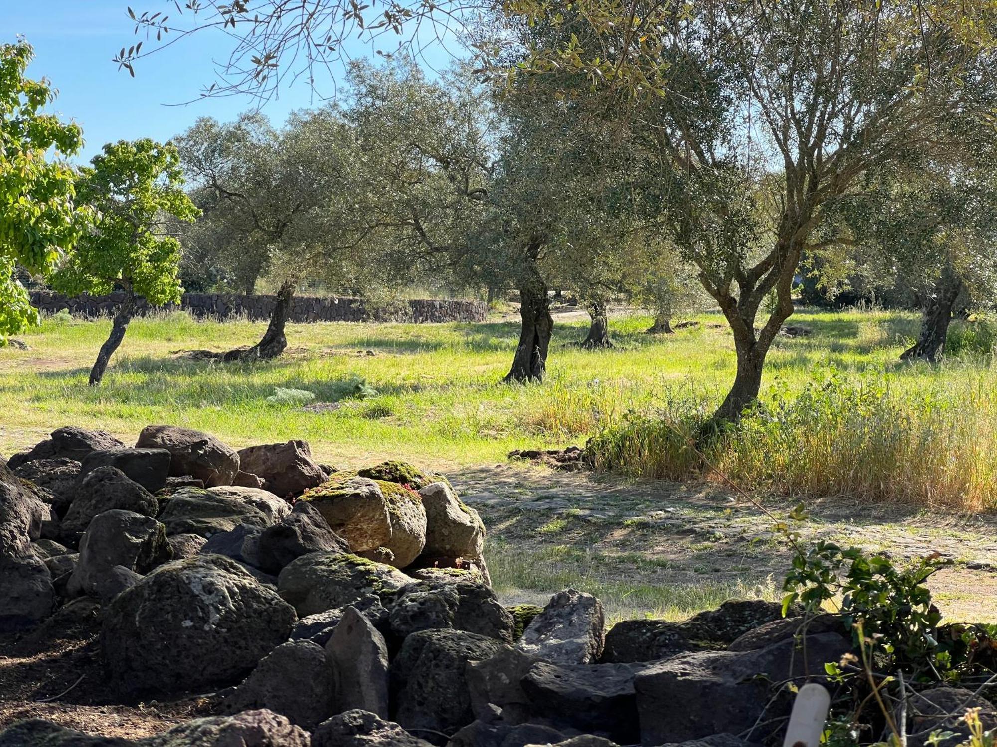 Muristene Pozzo Santa Cristina Paulilatino Esterno foto